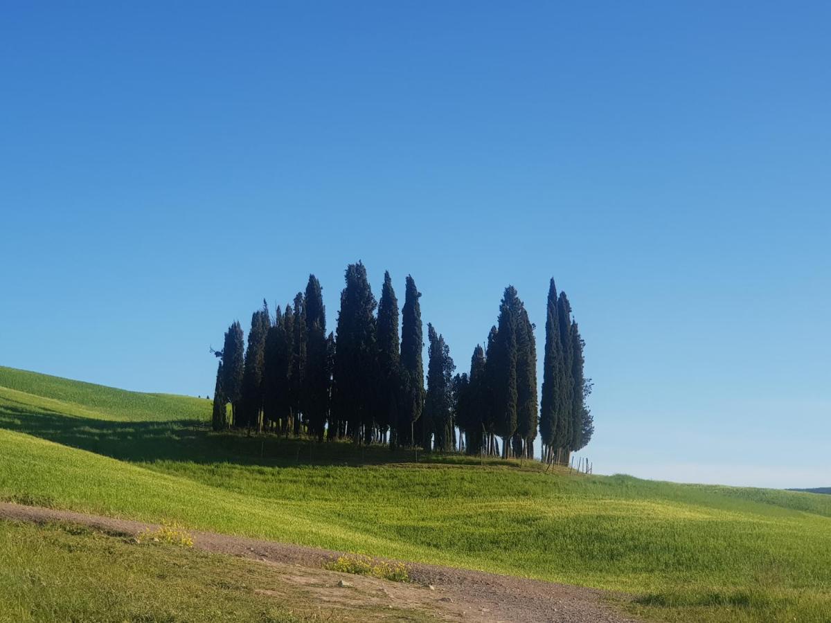 Frühstückspension Palazzetto Del Pittore San Quirico dʼOrcia