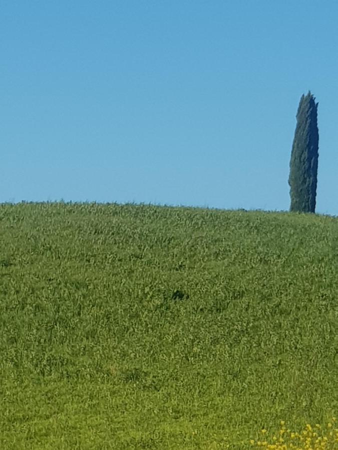 Palazzetto Del Pittore Frühstückspension *