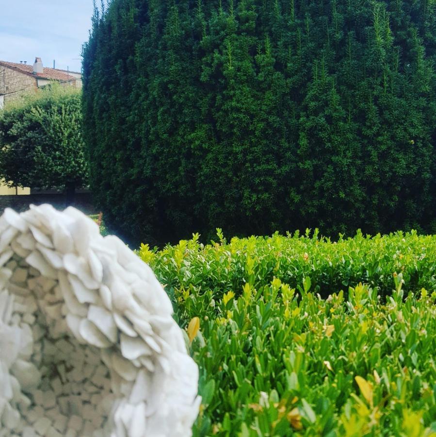 Palazzetto Del Pittore * San Quirico dʼOrcia