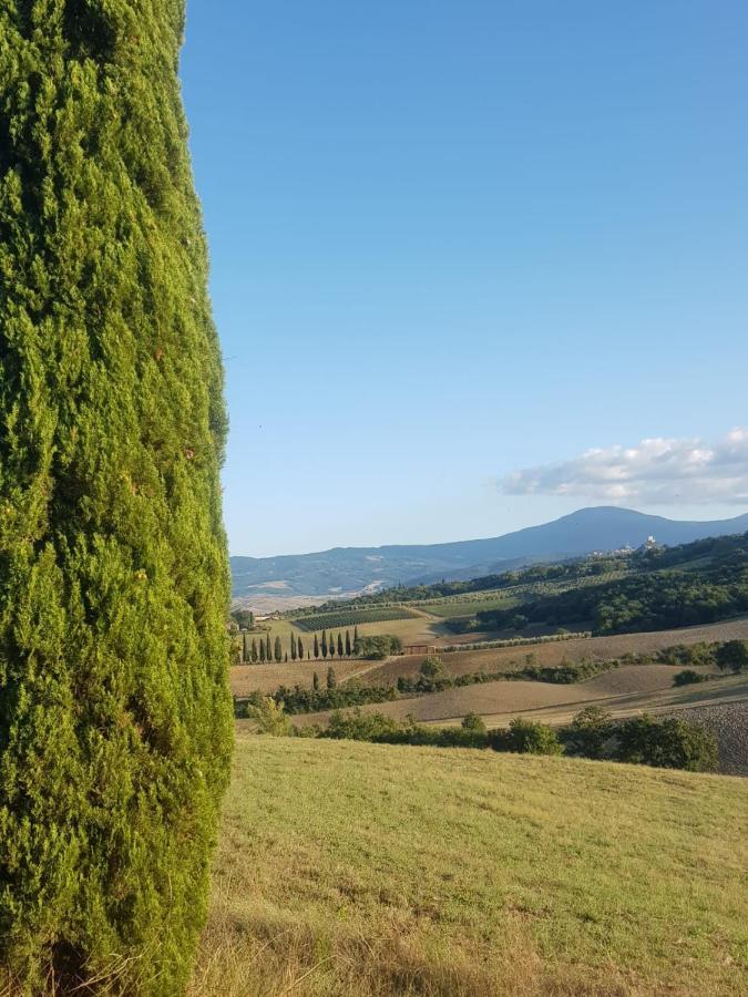 Palazzetto Del Pittore * San Quirico dʼOrcia