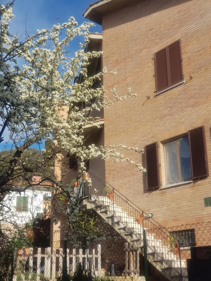 Palazzetto Del Pittore San Quirico dʼOrcia