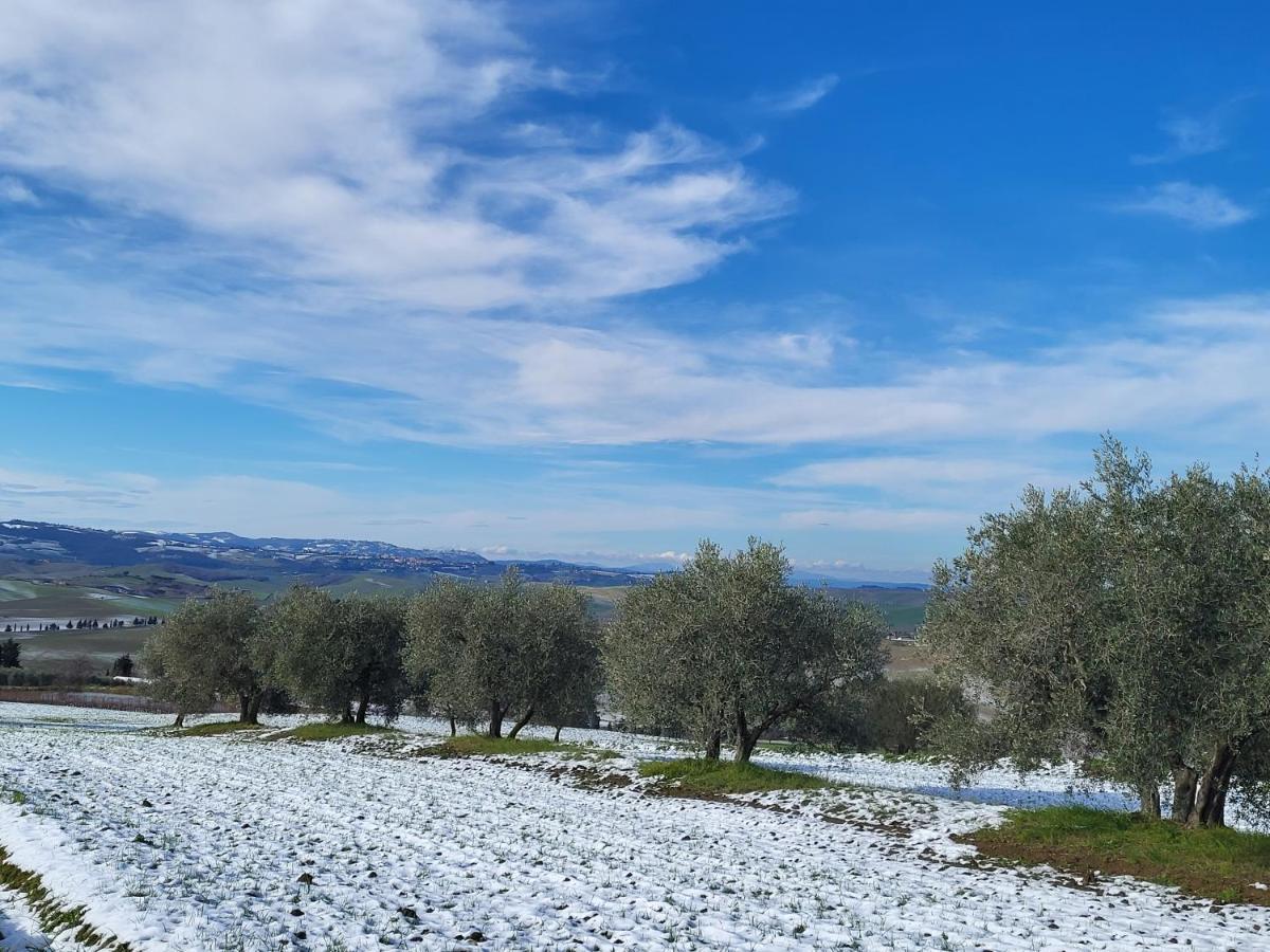 Palazzetto Del Pittore San Quirico dʼOrcia