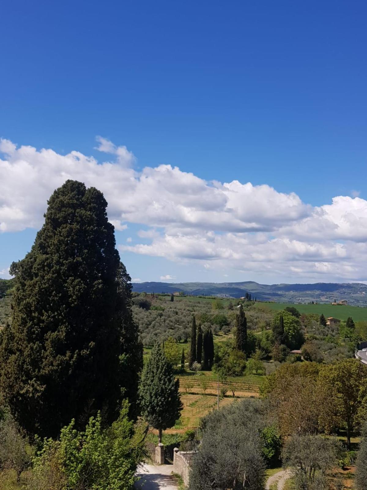 Frühstückspension Palazzetto Del Pittore San Quirico dʼOrcia